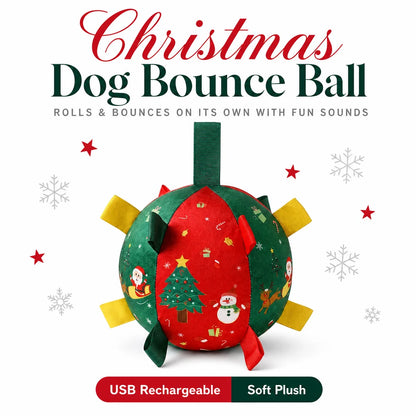 Paw Zoom - Interactive Ball