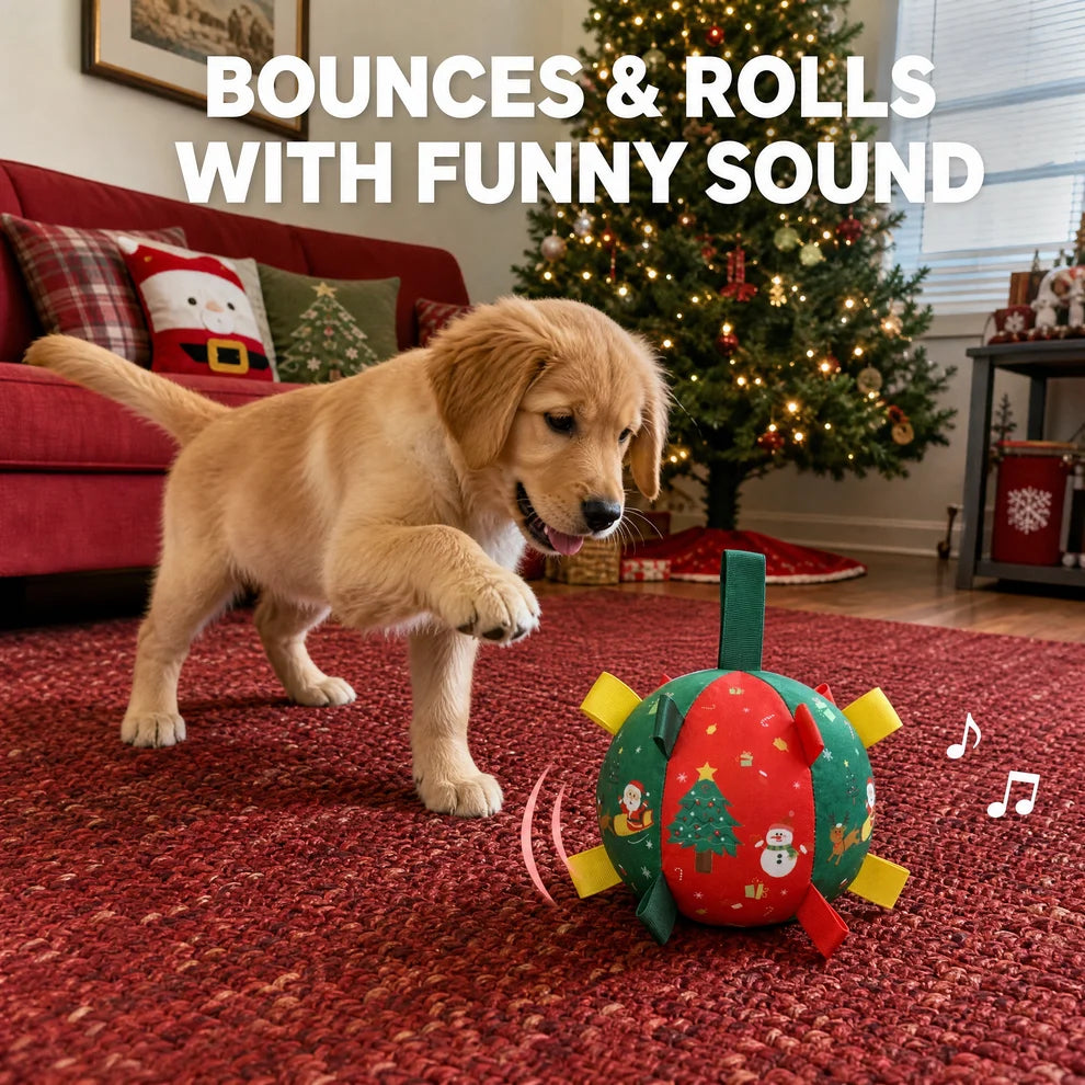 Paw Zoom - Interactive Ball