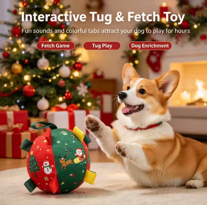 Paw Zoom - Interactive Ball